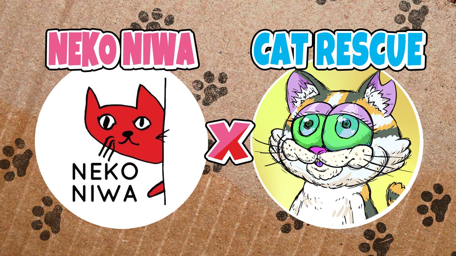 CatRescue×NEKONIWA！？ - 【公式】猫庭ホームページ｜NEKONIWA