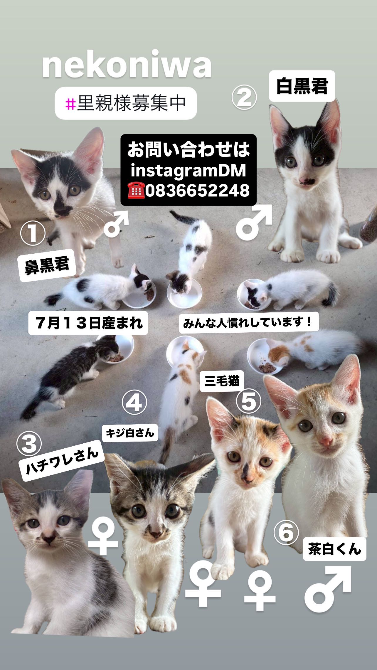 540557281_18401130682187779_85