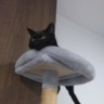 すけちゃん